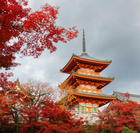 International Tour Packages