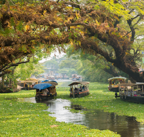 Kerala Tour Packages